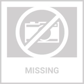 C100PRO Lightweight And Portable Digital Sound Card, Real-time Voice Changer, Intelligent Noise Reduction, And Instrument Reverberation