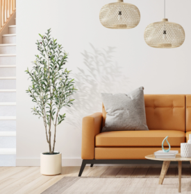 Simple Style Olive Tree (Option: 180cm)